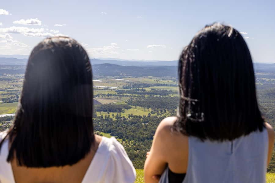 Brisbane: Tamborine Mountain Local Winery Tour with Lunch - Witches Falls Winery and the Optional Cheese Pairing