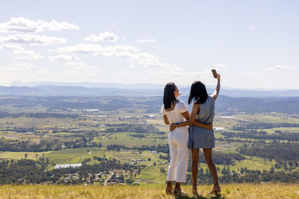 Brisbane: Tamborine Mountain Local Winery Tour with Lunch - The 6-Hour Promise vs Real-Life Return Timing