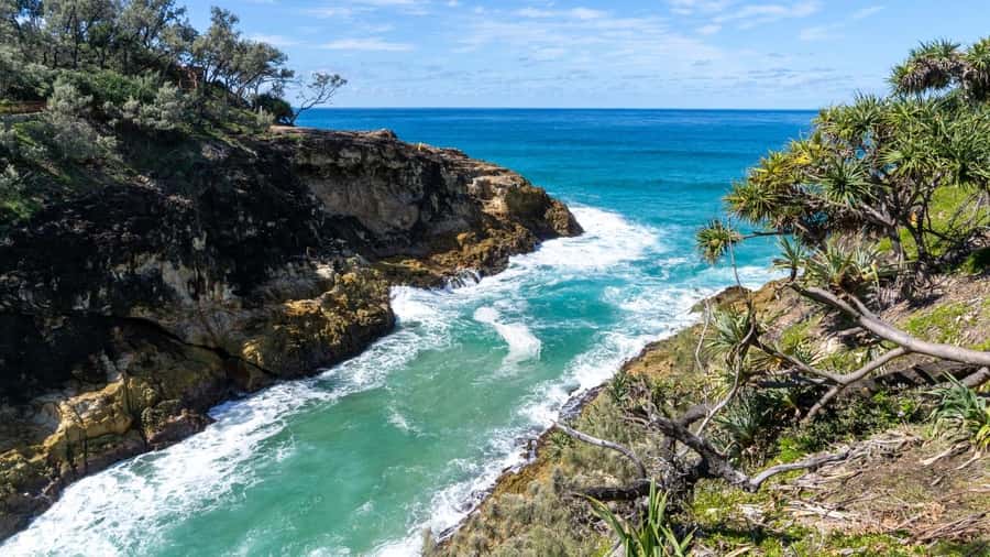 Brisbane to North Stradbroke Island Day: Wildlife & Beaches - The Ferry Ride Across Moreton Bay (Plus Dolphin Chances)