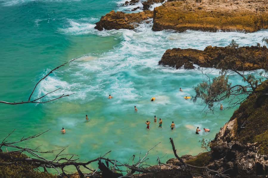 Brisbane to North Stradbroke Island Day: Wildlife & Beaches - Point Lookout Break Time: Lunch, Picnic, and Sea Views