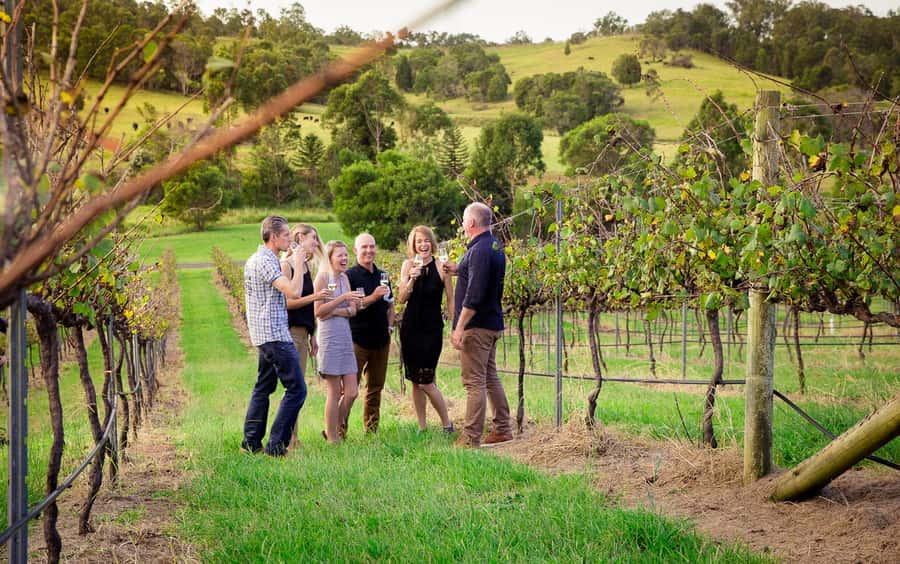Brisbane: Wine & Dine In The Vines - First sip in the vines: welcome glass and vineyard walk