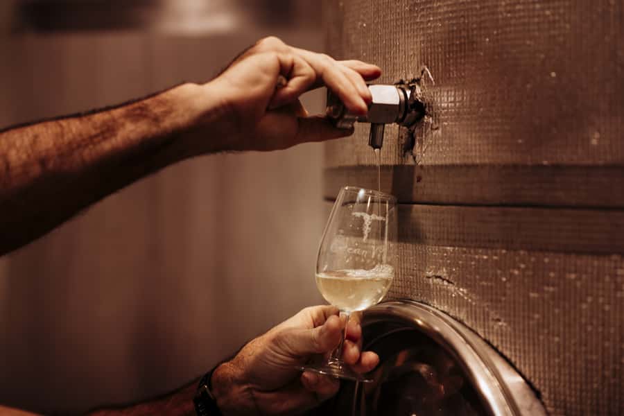 Brisbane: Wine & Dine In The Vines - Cheese & wine tasting right where the winemaking happens