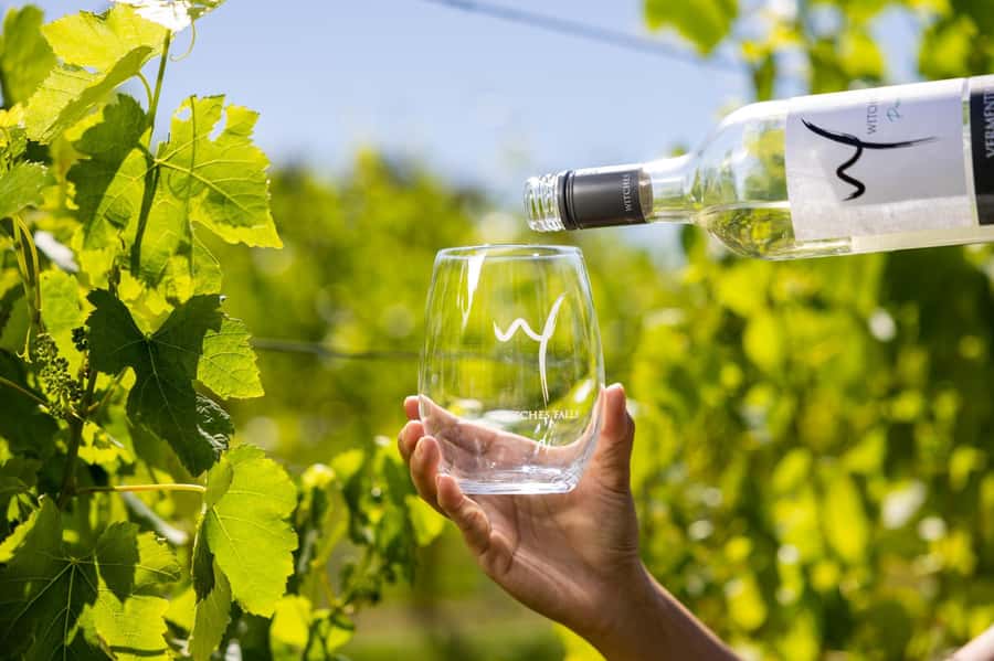 Brisbane: Wine Tasting - Hop on Hop off Tour to Mt Tamborine - Practical tips for a smoother day on the mountain