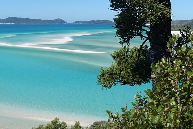 British Defender 3D2N Whitsunday Snorkelling Sailing Adventure - British Defender in Airlie Beach: What You’re Actually Buying