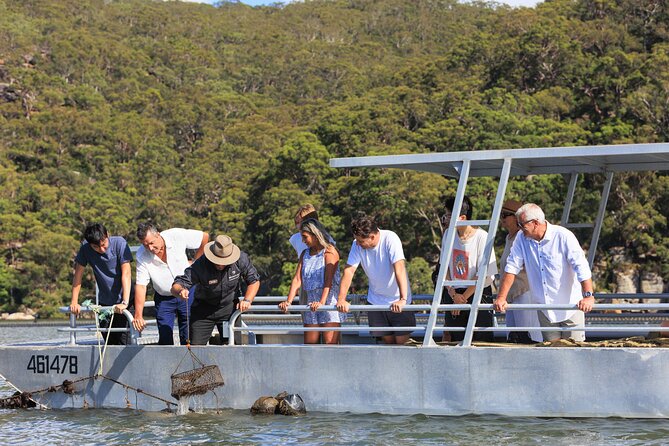 Broken Bay Pearl & Oyster Farm Tours - The sustainability angle: what you should look for (and why it matters)