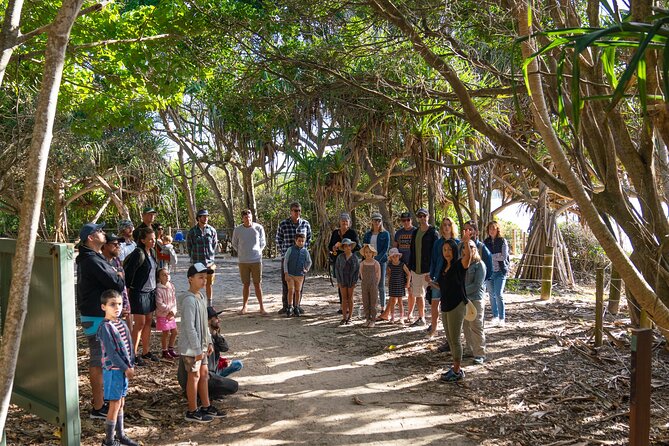 Broken Head Aboriginal Tour - A short Broken Head Aboriginal tour with stories that match the ground