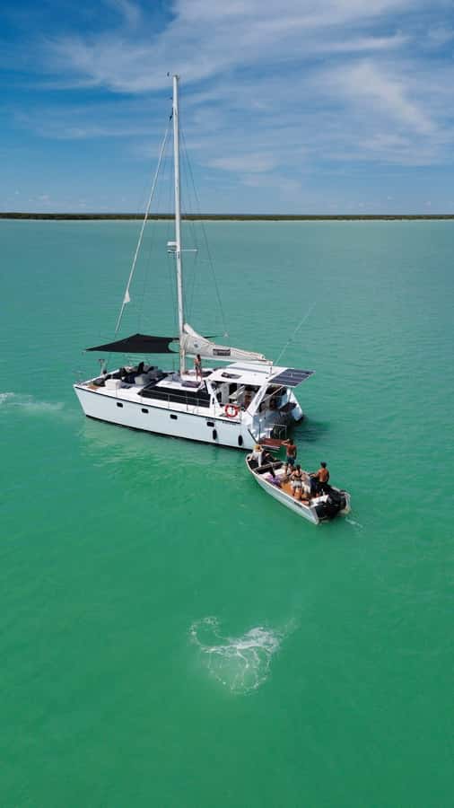 Broome Cruise & Catch: Mud Crab Adventure & Wildlife Cruise - Getting aboard Ballena: transfers, timing, and what 6 hours feels like