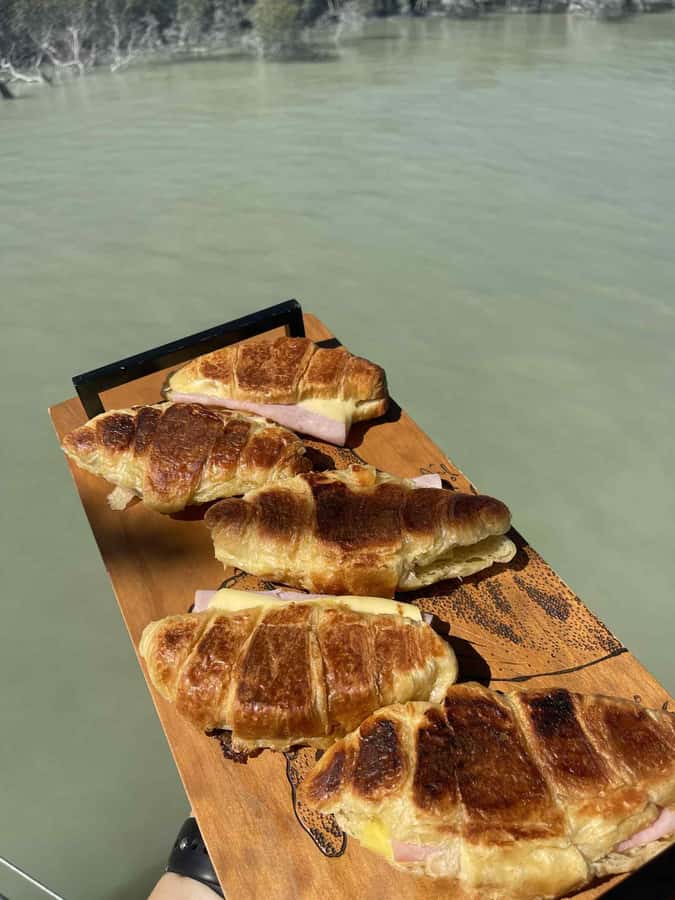 Broome Cruise & Catch: Mud Crab Adventure & Wildlife Cruise - Wildlife spotting on the way: snubfin dolphins, turtles, rays, and sea snakes