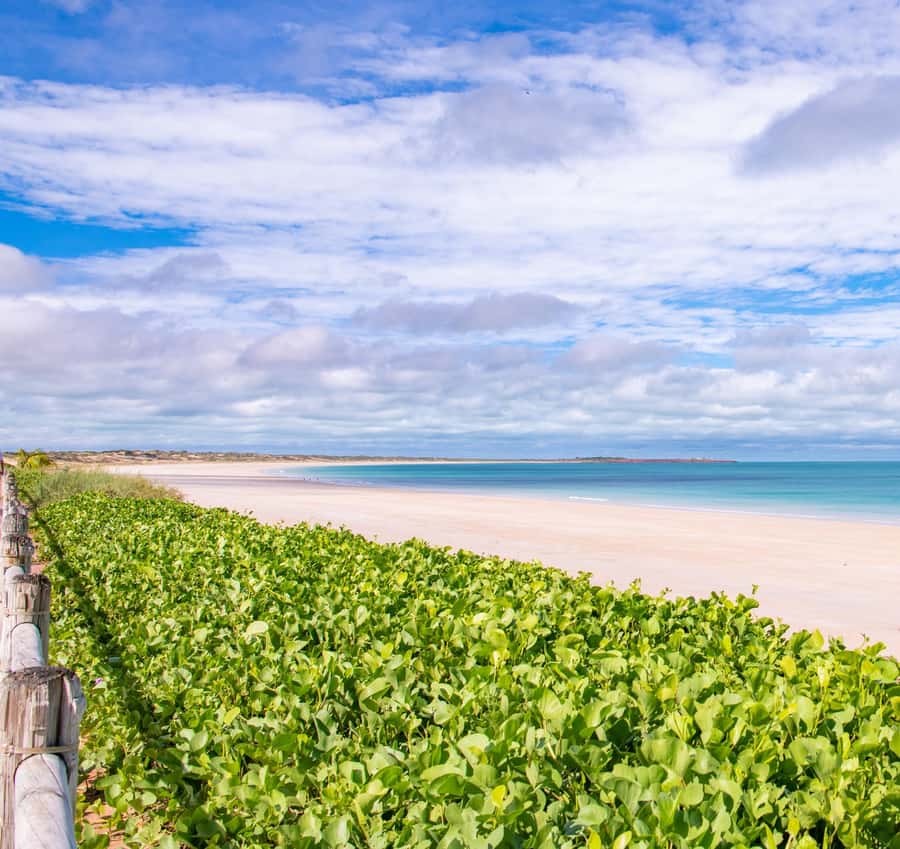 Broome: Panoramic and Discovery - Morning Tour w/ Transfers - Gantheaume Point and dinosaur prints: seeing something you can’t unsee