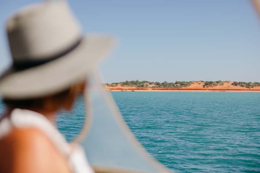 Broome: Snubfin Dolphin Cruises - Morning tea onboard: food that actually makes the early start worth it