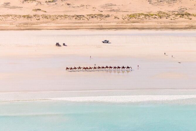 Broome's Creeks & Coast: 45-Minute Scenic Helicopter Flight - Willie Creek Pearl Farm: croc watching without the mud