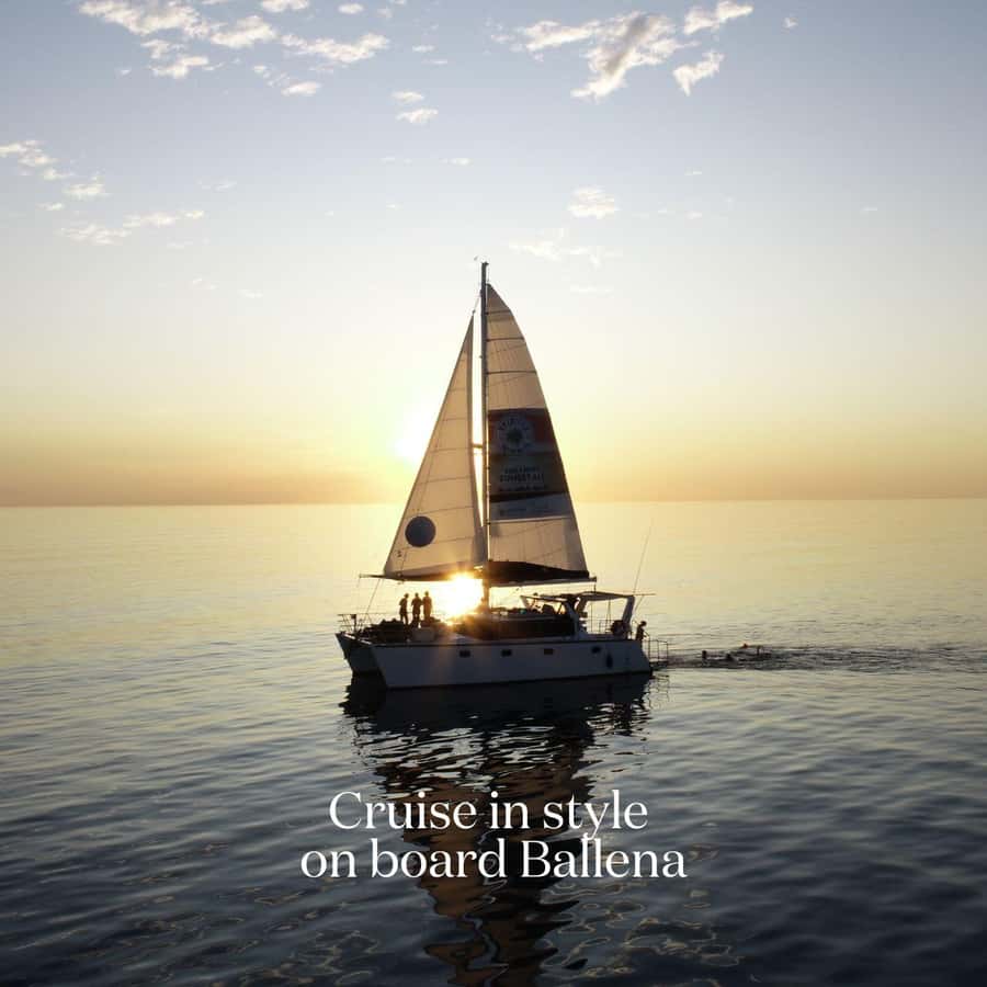 Broome's Iconic Catamaran Sunset Cruise - Canapés, grazing board, and what “included” actually buys you