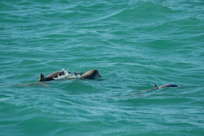 Broome's only Crabbing Adventure & Wildlife Cruise - Size, timing, and what a 5-hour day feels like