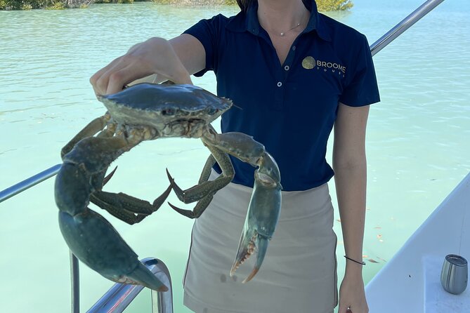 Broome's only Crabbing Adventure & Wildlife Cruise - The catamaran cruise: views first, then your first wildlife checks