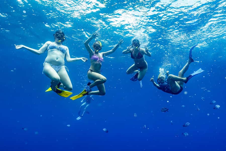 Brunswick Heads: Snorkelling in Byron Bay - Should you book the WILD BYRON Julian Rocks snorkeling from Brunswick Heads?