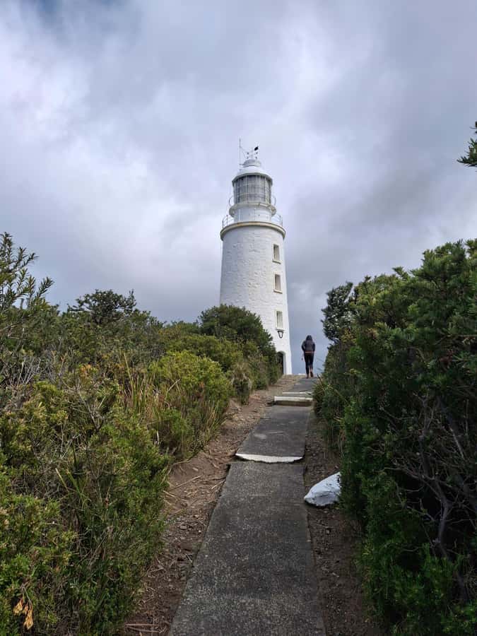 Bruny Island: Cape Bruny Lighthouse Tour - The climb: iron spiral stairs and the keeper’s daily work