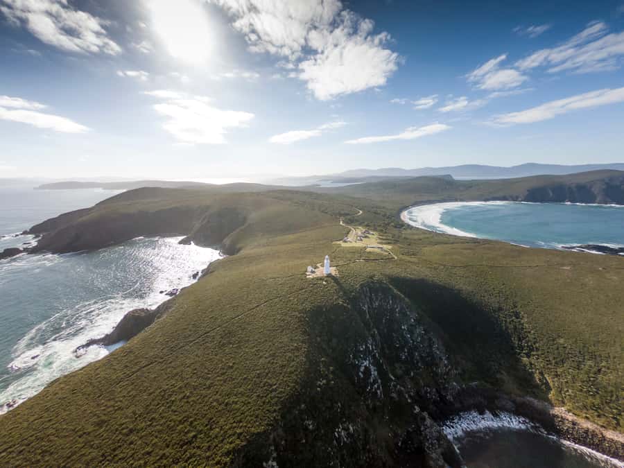 Bruny Island: Cape Bruny Lighthouse Tour - Wildlife spotting with binoculars: seals, albatross, and patience