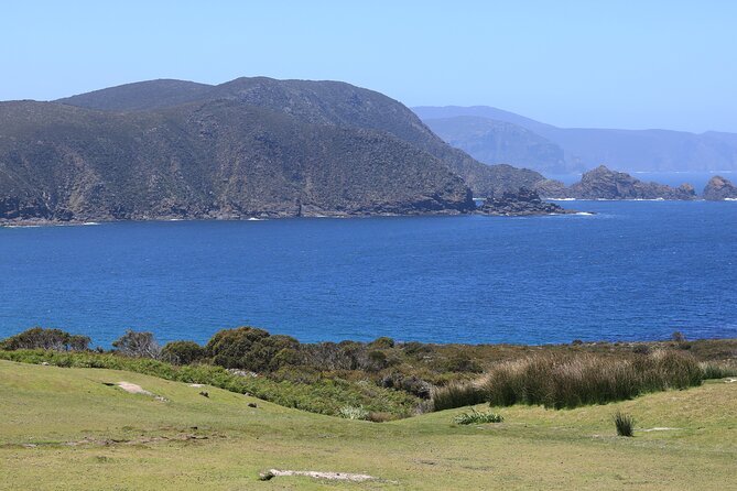 Bruny Island Small-Group Guided Tour From Hobart - Adventure Bay: east-facing beach time with a sheltered feel (about 50 minutes)