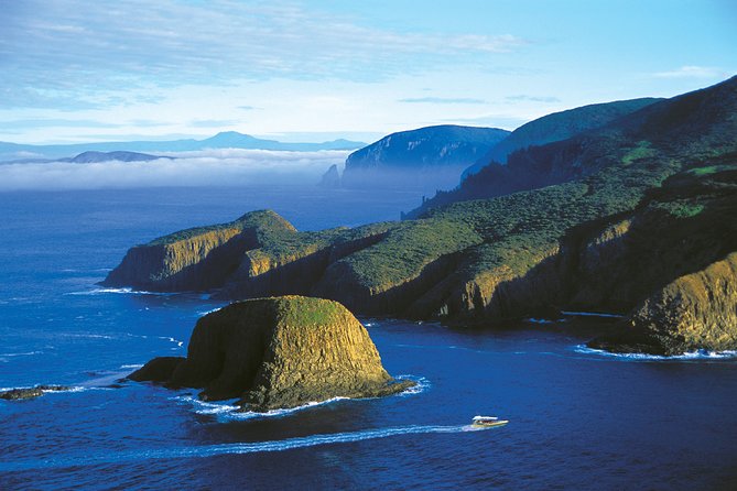 Bruny Island Wilderness Cruise from Adventure Bay, Bruny Island - Wildlife spotting that’s actually part of the tour