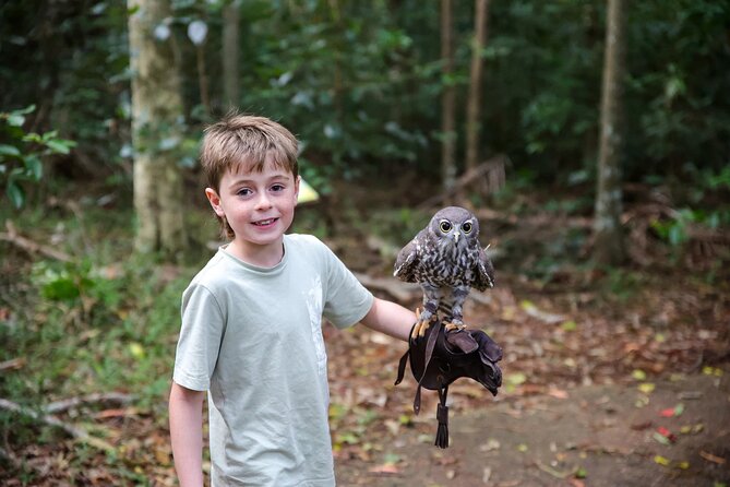 Buderim Forest Flight Owl Encounter and Tour - Practical Tips for Photos, Weather, and a Smooth Afternoon