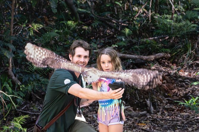 Buderim Forest Flight Owl Encounter and Tour - Stop 1 at Foote Sanctuary of Buderim: Native Forest Walk and a Free-Flight Demo