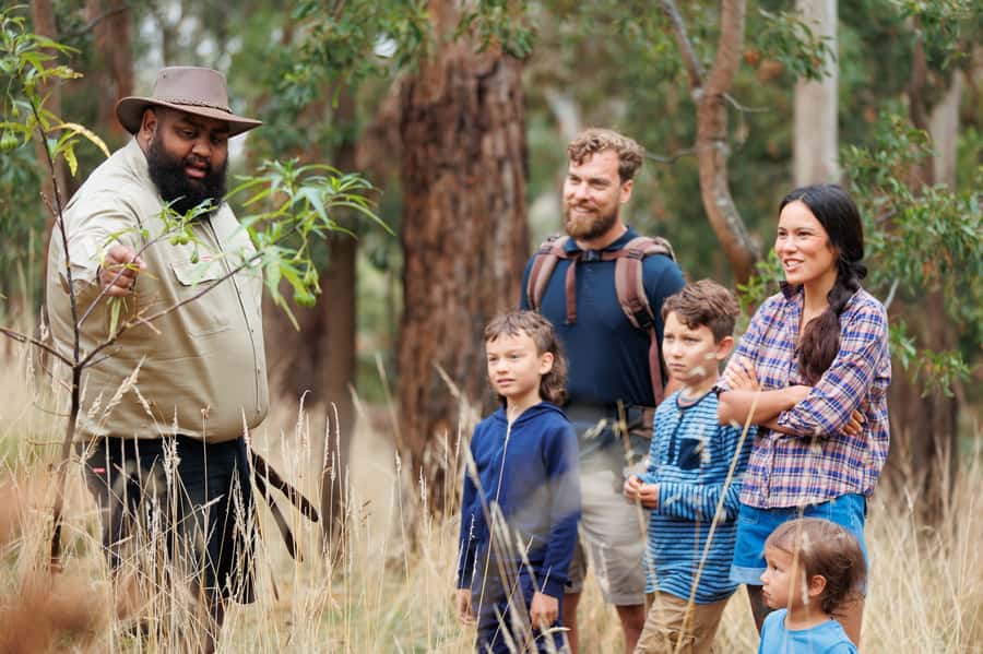 Budj Bim: Tungatt Mirring Half Day Gunditjmara Tour - Price and Value: What You’re Really Paying For at $112