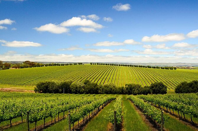 Build your own Unique Private Winery/Brewery Tour at the Margaret River region - Price and What You’re Actually Paying For