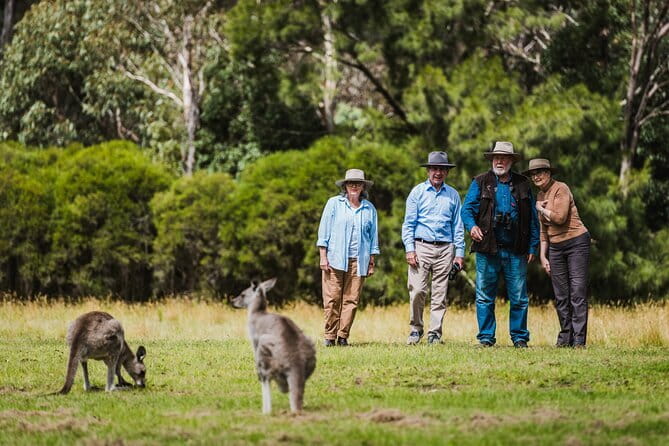 Building + Architecture Tour | 10am Daily - Who should book this Architecture Tour (and who might skip it)