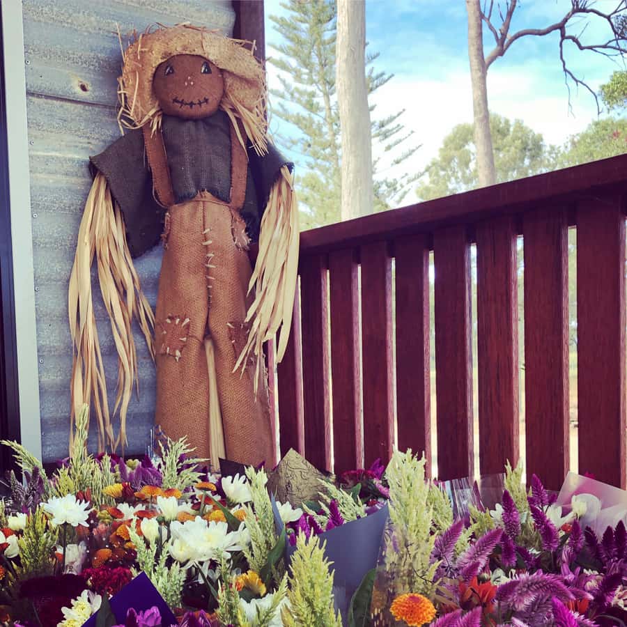 Bundaberg: Family-Friendly Entry Ticket to Splitters Farm - Key highlights to know before you go