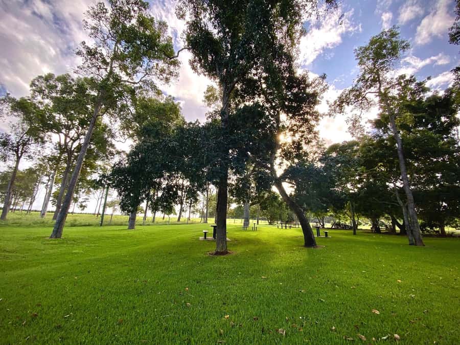 Bundaberg: Family-Friendly Entry Ticket to Splitters Farm - Checking in at Splitters Farm: the part that sets the mood