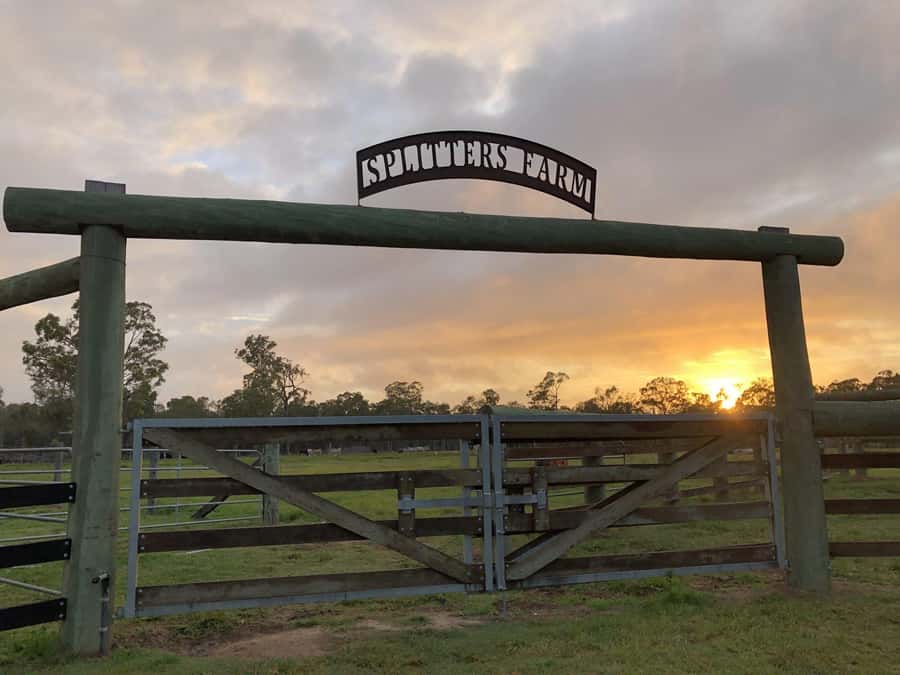 Bundaberg: Family-Friendly Entry Ticket to Splitters Farm - Feeding 400+ rescued animals: the moment kids (and adults) light up