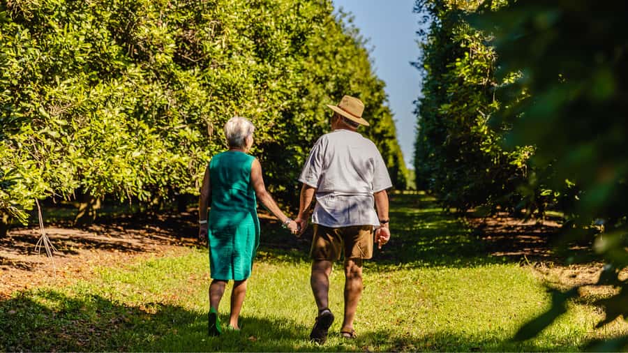 Bundaberg: Macadamia Orchard Tour - Key Highlights You’ll Notice on Arrival