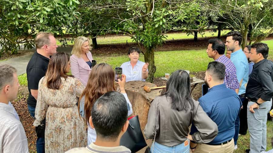 Bundaberg: Macadamia Orchard Tour - Orchard Discovery Between Tree Rows: Learning Without a Lecture