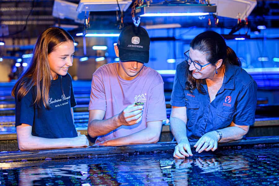 Bundaberg: Monsoon Aquatics Coral Farm Guided Tour - Key highlights worth planning for
