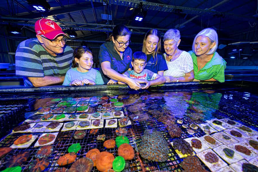 Bundaberg: Monsoon Aquatics Coral Farm Guided Tour - The live coral feeding demo: learning reef life without the water pressure