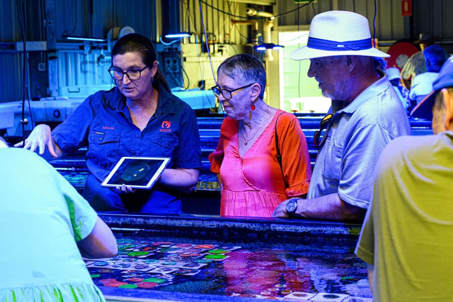 Bundaberg: Monsoon Aquatics Coral Farm Guided Tour - Booking basics: what you need to bring and what to leave at home