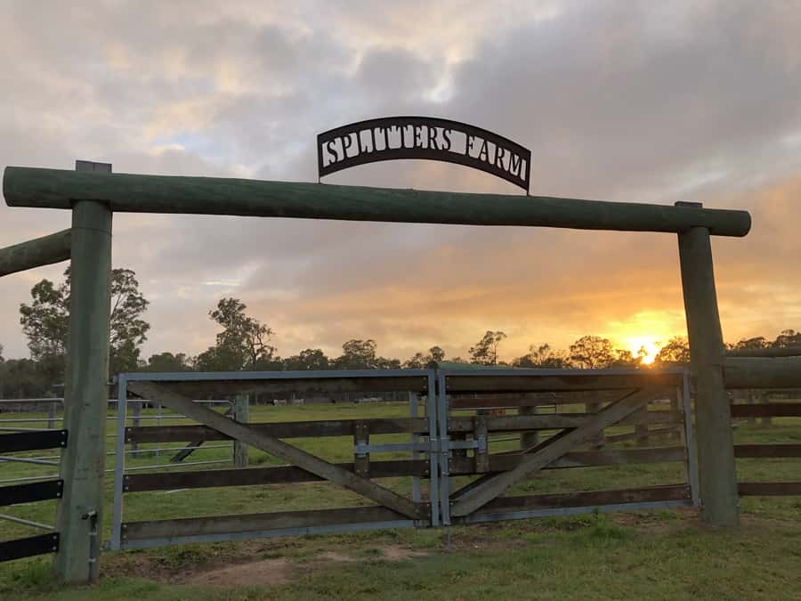 Bundaberg: Splitters Farm Guided Tour - Paddock-to-paddock guided tour: farm stories that make the animals make sense