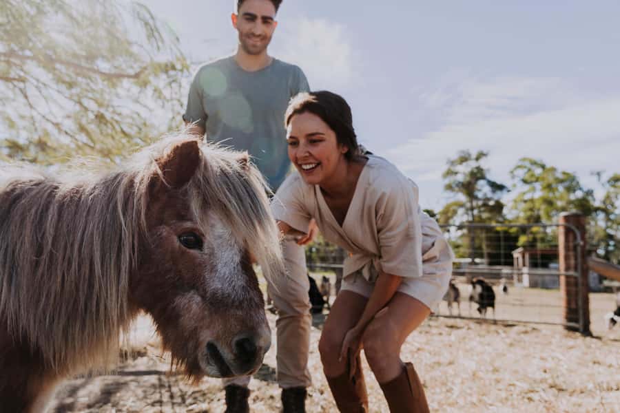 Bundaberg: Splitters Farm Guided Tour - Hand-feeding 400+ rescue animals: the best way to do it without stress