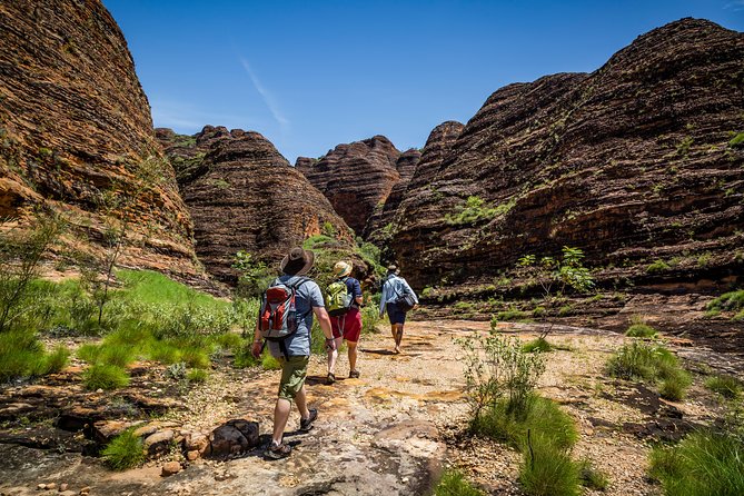 Bungle Bungle Scenic Flights, Domes & Cathedral Gorge Walk - Why this Bungle Bungle day is such strong value from Kununurra