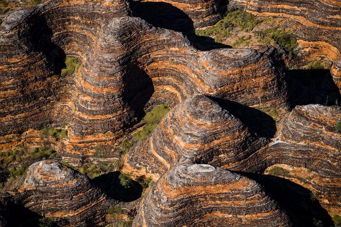 Bungle Bungle Scenic Flights, Domes & Cathedral Gorge Walk - Weather, time, and walking pace: the real day plan