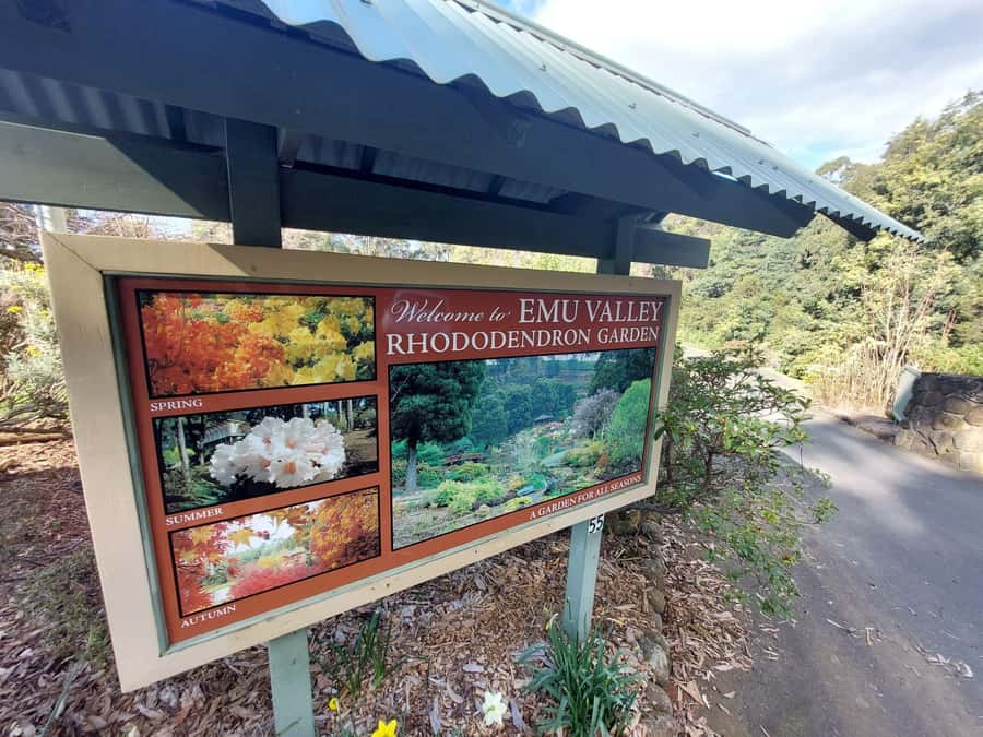 Burnie Attractions Bus - Key Things to Know Before You Go