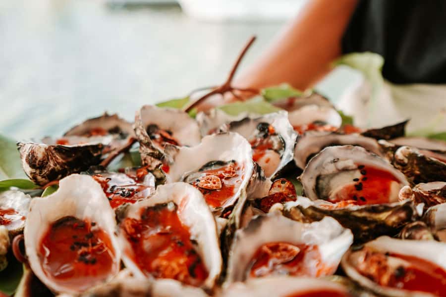 Bushtucker Cultural Cruise - The 5-course native canape menu: small bites with big context