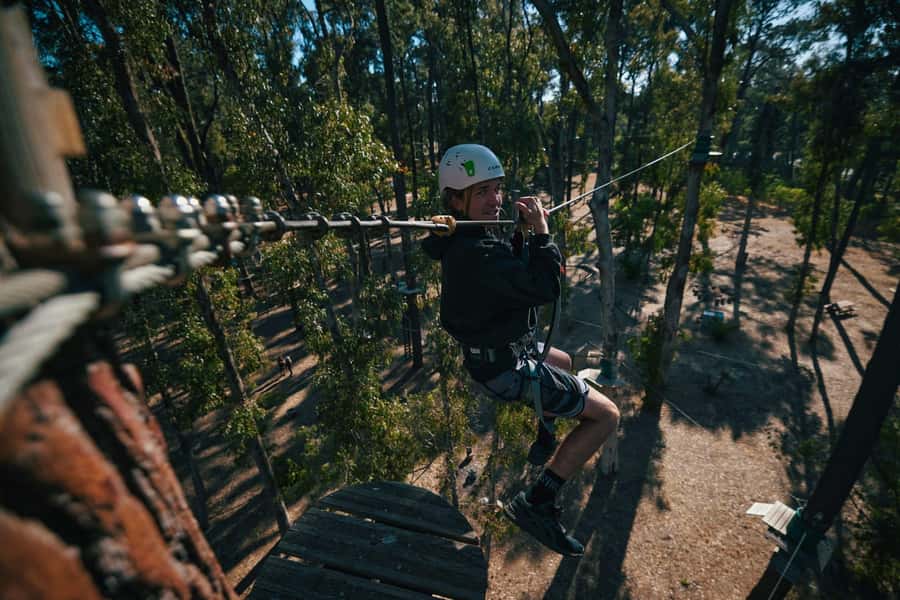 Busselton: Forest Adventure with Zip Lining and Rope Course - Quick hits before you book