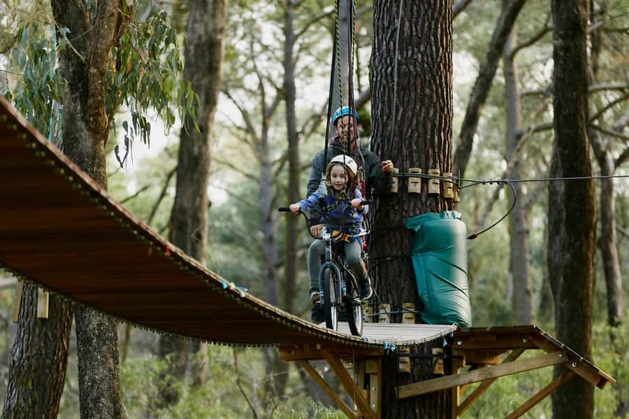 Busselton: Forest Adventure with Zip Lining and Rope Course - Price and value: is $41 per person worth it?