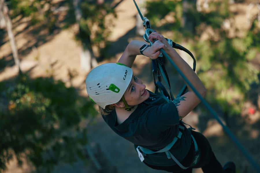 Busselton: Forest Adventure with Zip Lining and Rope Course - Why this Busselton forest feels built for real fun