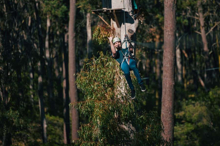 Busselton: Forest Adventure with Zip Lining and Rope Course - The 19-metre-high ropes course: how the challenge ramps up