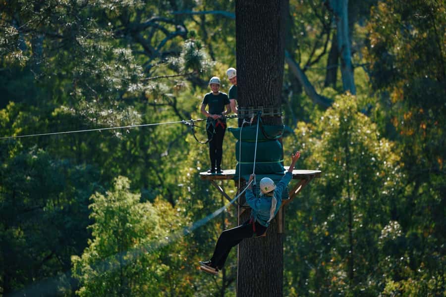 Busselton: Forest Adventure with Zip Lining and Rope Course - Safety and staff support: what it feels like on the ground