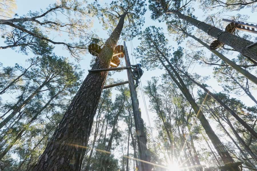 Busselton: Forest Adventure with Zip Lining and Rope Course - Who this fits best: ages, sizes, and supervision rules that matter