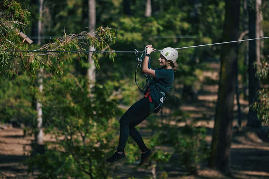 Busselton: Forest Adventure with Zip Lining and Rope Course - The 2-hour session rhythm: briefing first, then treetop time