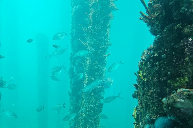 Busselton Jetty and Underwater Observatory - Key highlights you’ll care about